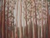 Sherbrooke Forest