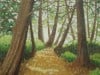 Sun Dappled Trail