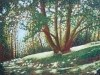 Sun in the Woods