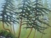 Forest Trail