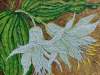 Fairy-Bells-redo
