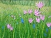 Spring-Meadow
