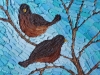 Winter-Robins